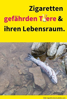 Kippen vergiften die Umwelt
